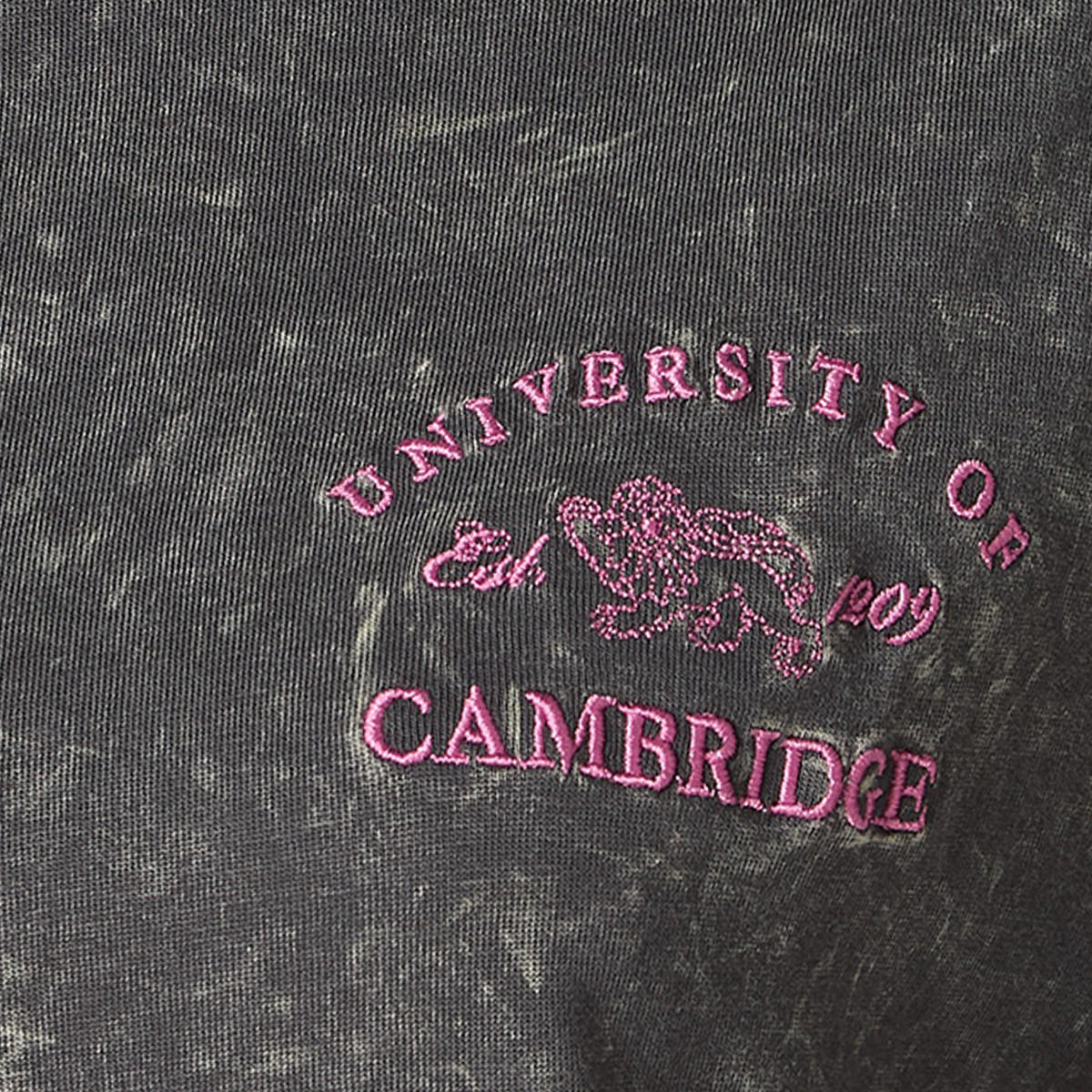 Cambridge Cotton T-shirt-women-clothing-tshirts-image-2