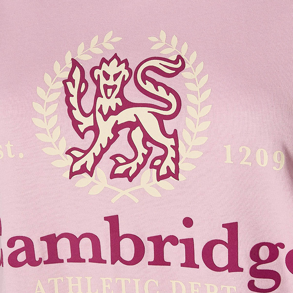 Regular Fit Cambridge Cotton T-shirt-women-clothing-tshirts-image-2