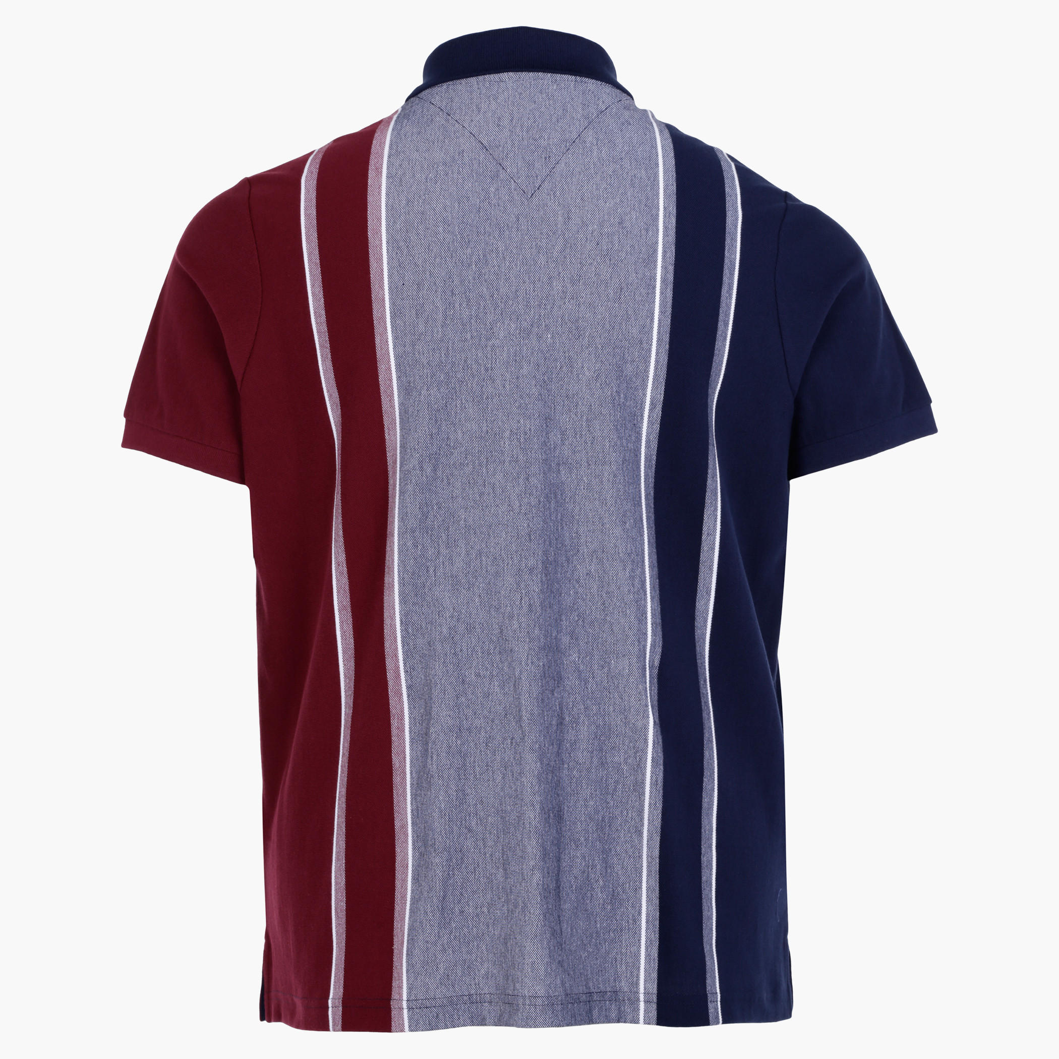 Plus Size T-Shirt with Polo Neck-men-clothing-tshirtsandpolos-polos-image-2