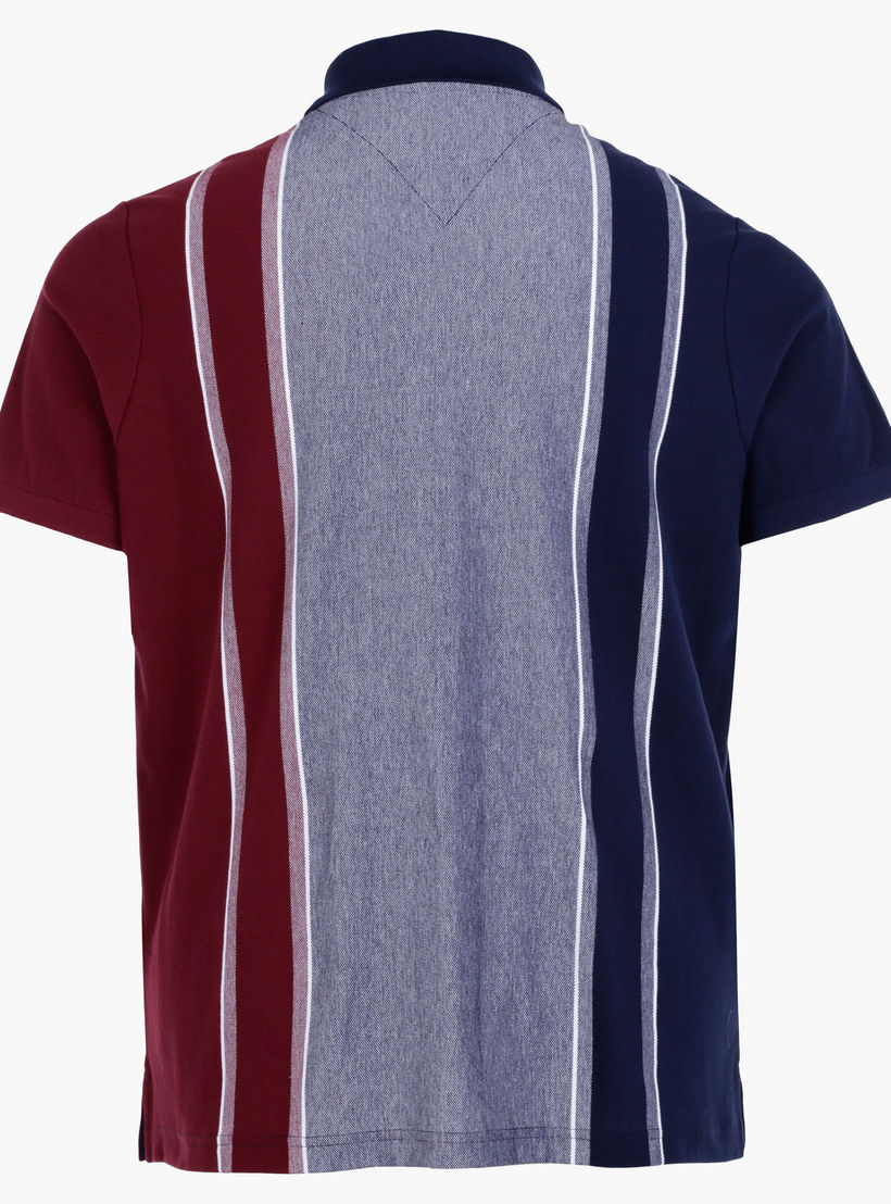 Plus Size T-Shirt with Polo Neck-men-clothing-tshirtsandpolos-polos-image-2