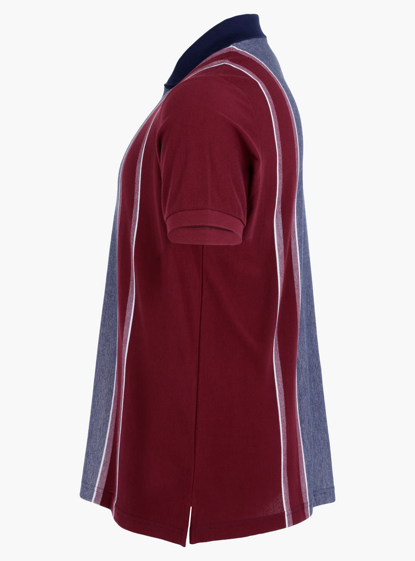 Plus Size T-Shirt with Polo Neck-men-clothing-tshirtsandpolos-polos-image-1