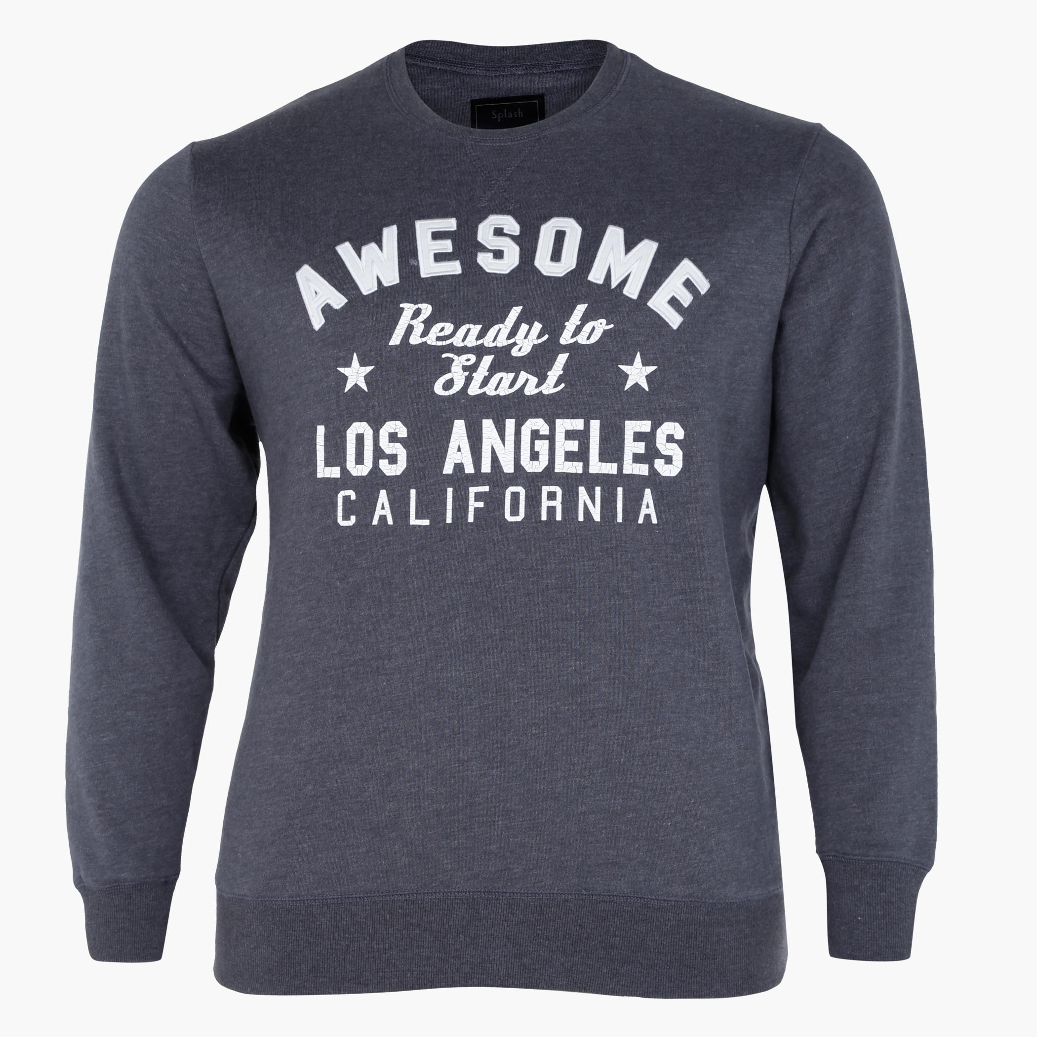 Plus Size Printed Crew Neck Sweatshirt with Long Sleeves-men-winterwear-hoodiesandsweatshirts-image-1