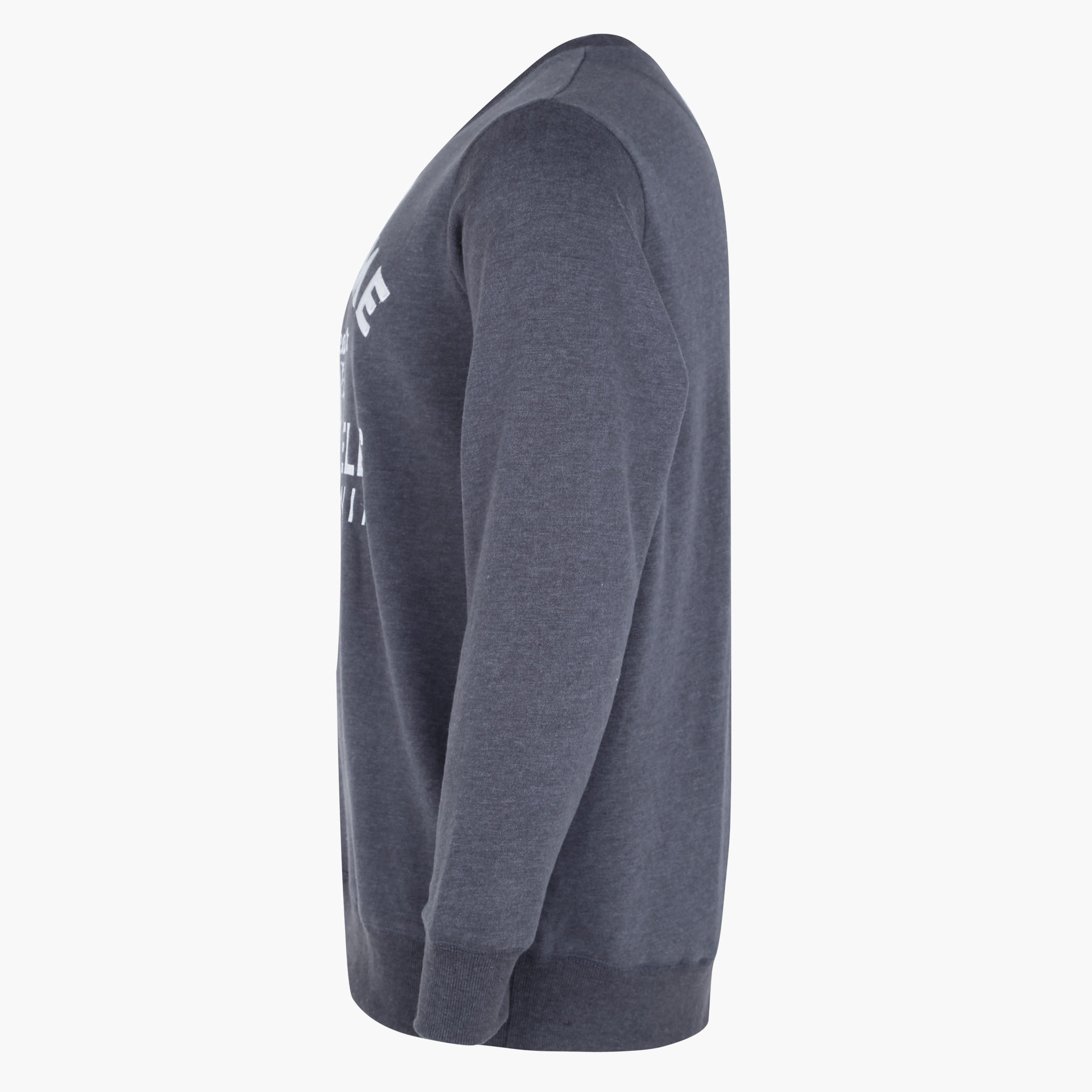 Plus Size Printed Crew Neck Sweatshirt with Long Sleeves-men-winterwear-hoodiesandsweatshirts-image-3