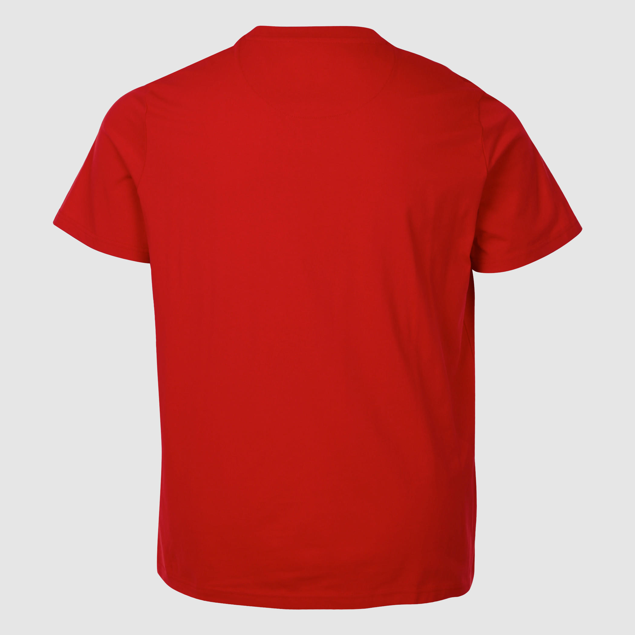 تيشيرت بأكمام قصيرة وياقة ضيقة وطبعات-men-clothing-tshirtsandpolos-tshirts-image-2