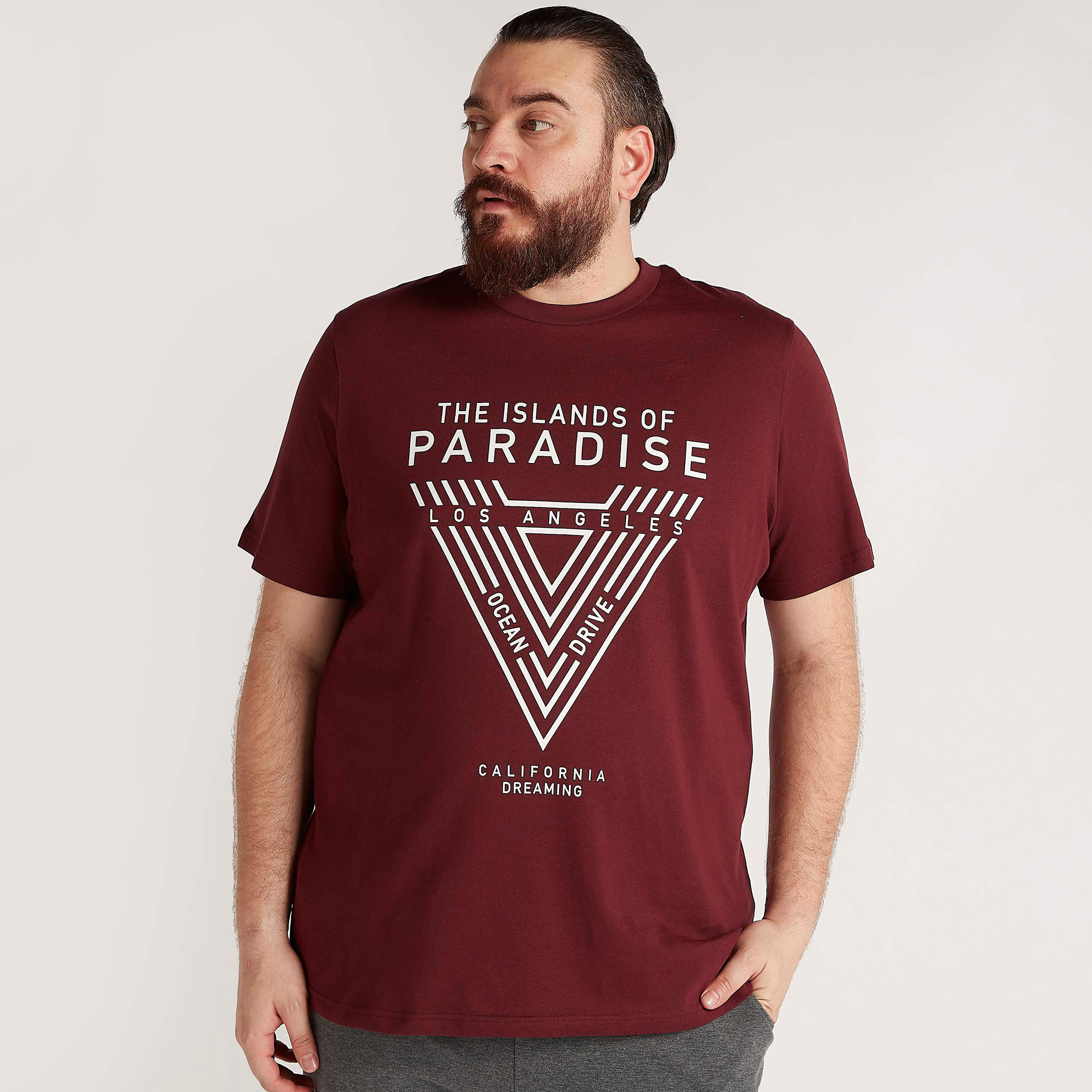 تيشيرت بياقة ضيّقة وأكمام قصيرة وطبعات-men-clothing-tshirtsandpolos-tshirts-image-1