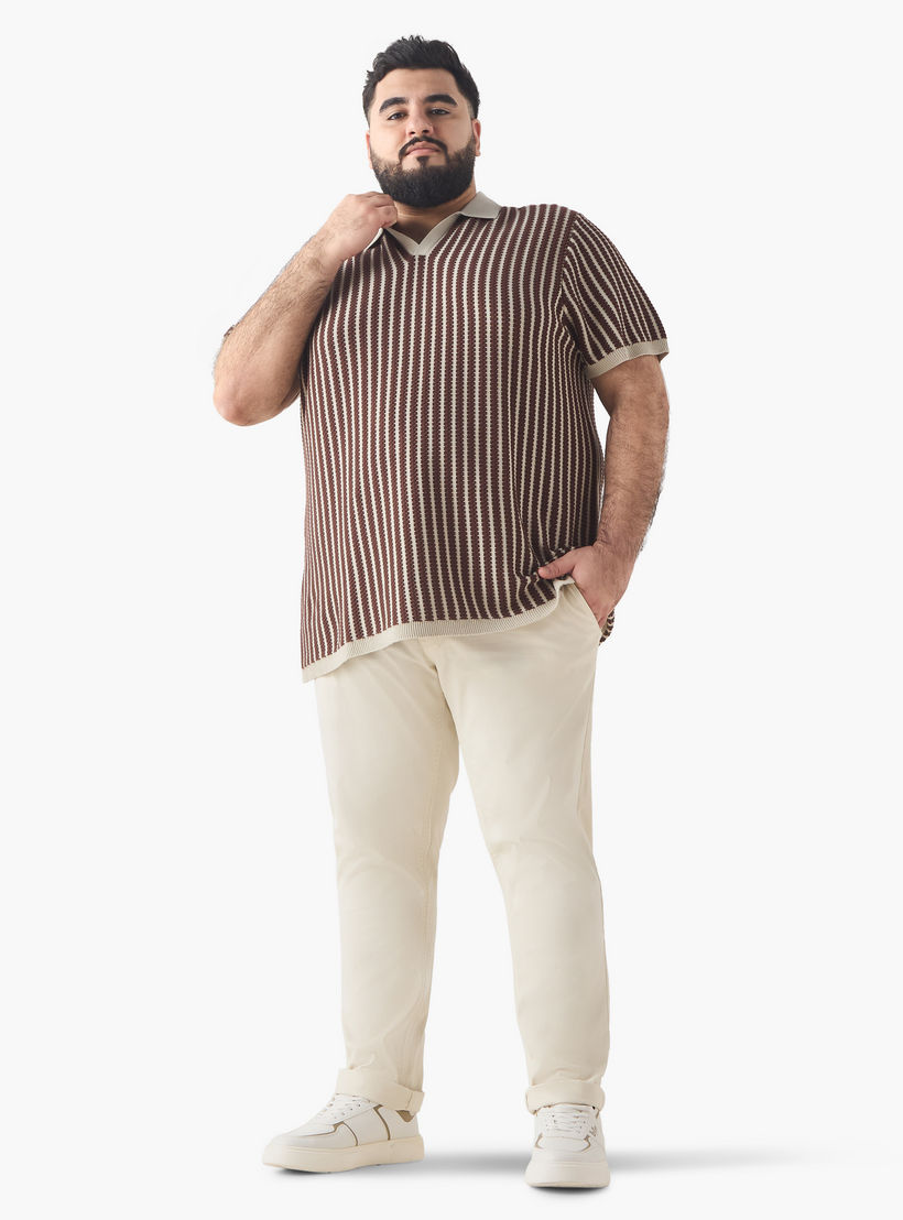 Plus Size Striped Polo T-shirt-men-clothing-plussize-tshirtsandpolos-polos-image-2