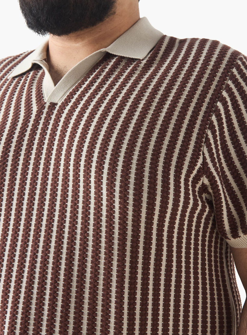 Plus Size Striped Polo T-shirt-men-clothing-plussize-tshirtsandpolos-polos-image-4