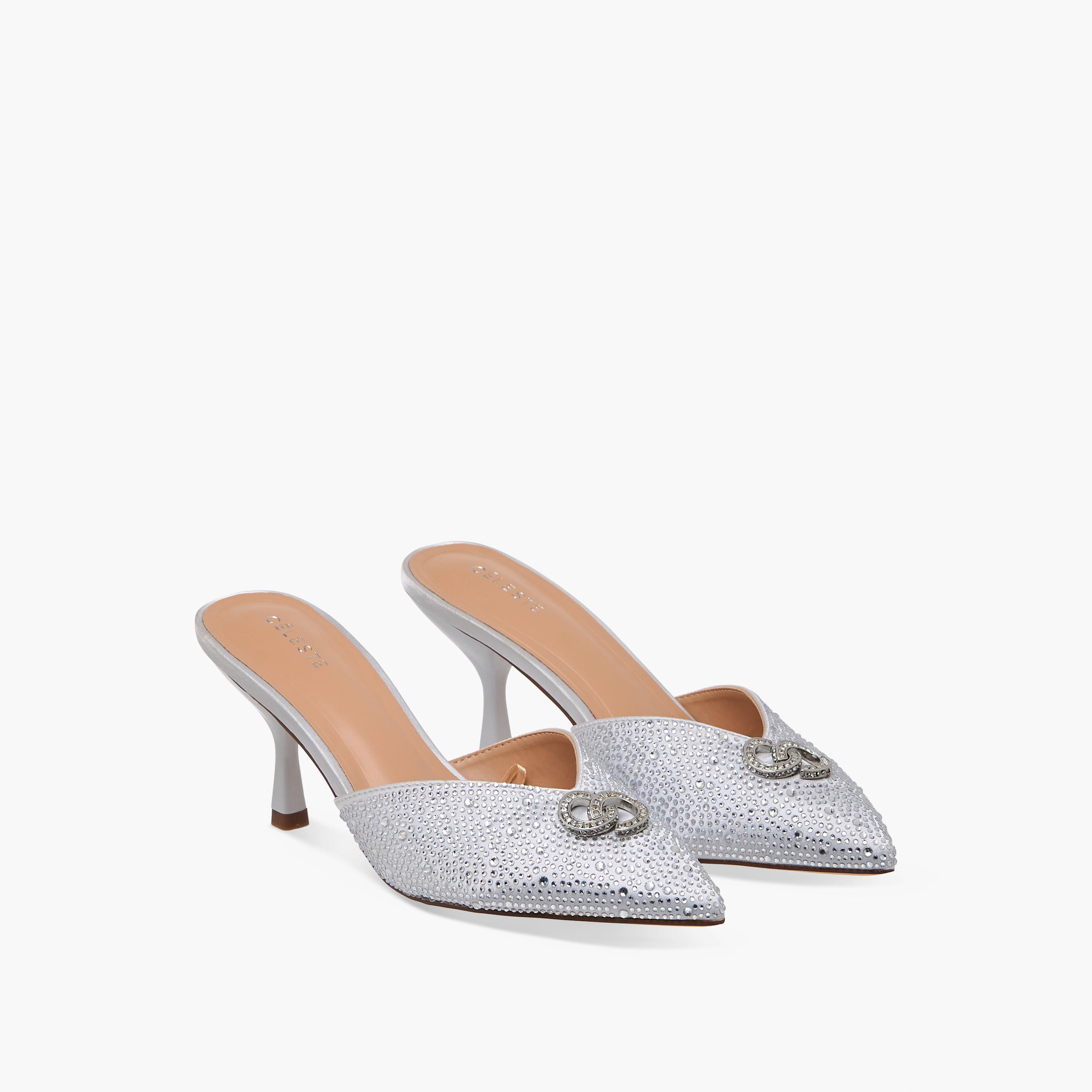 Celeste Women's Embellished Pointed Toe Shoes with Stiletto Heels-women-shoes-heels-image-1