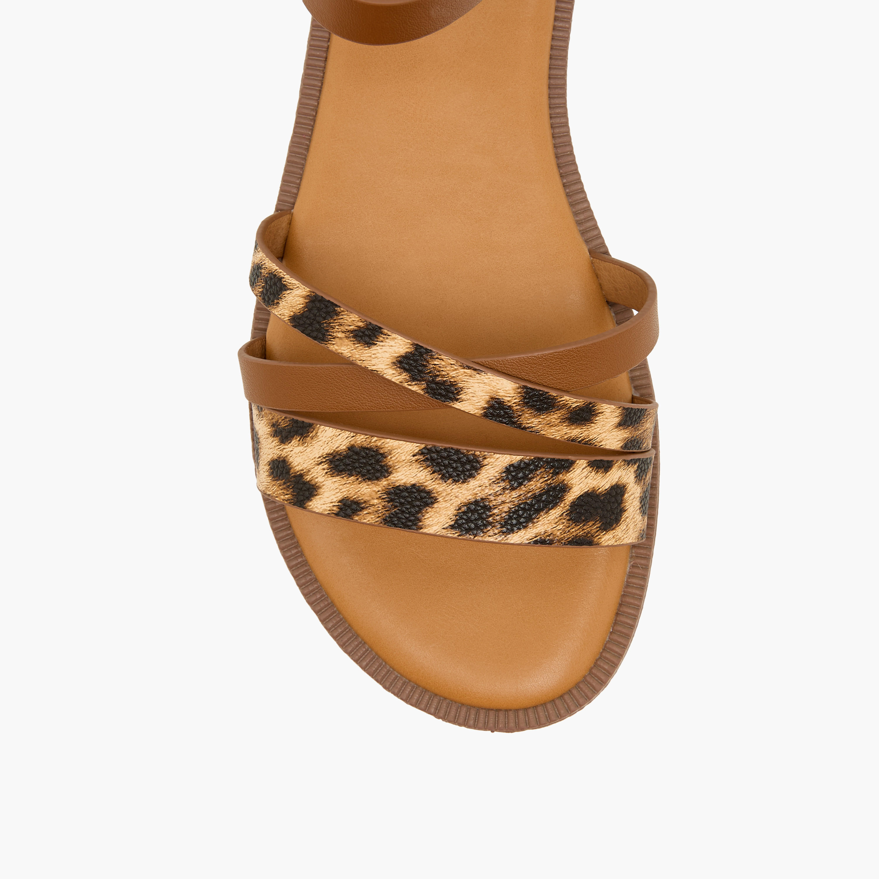 Celeste Women Animal Print Sandals-women-shoes-flats-sandals-image-3