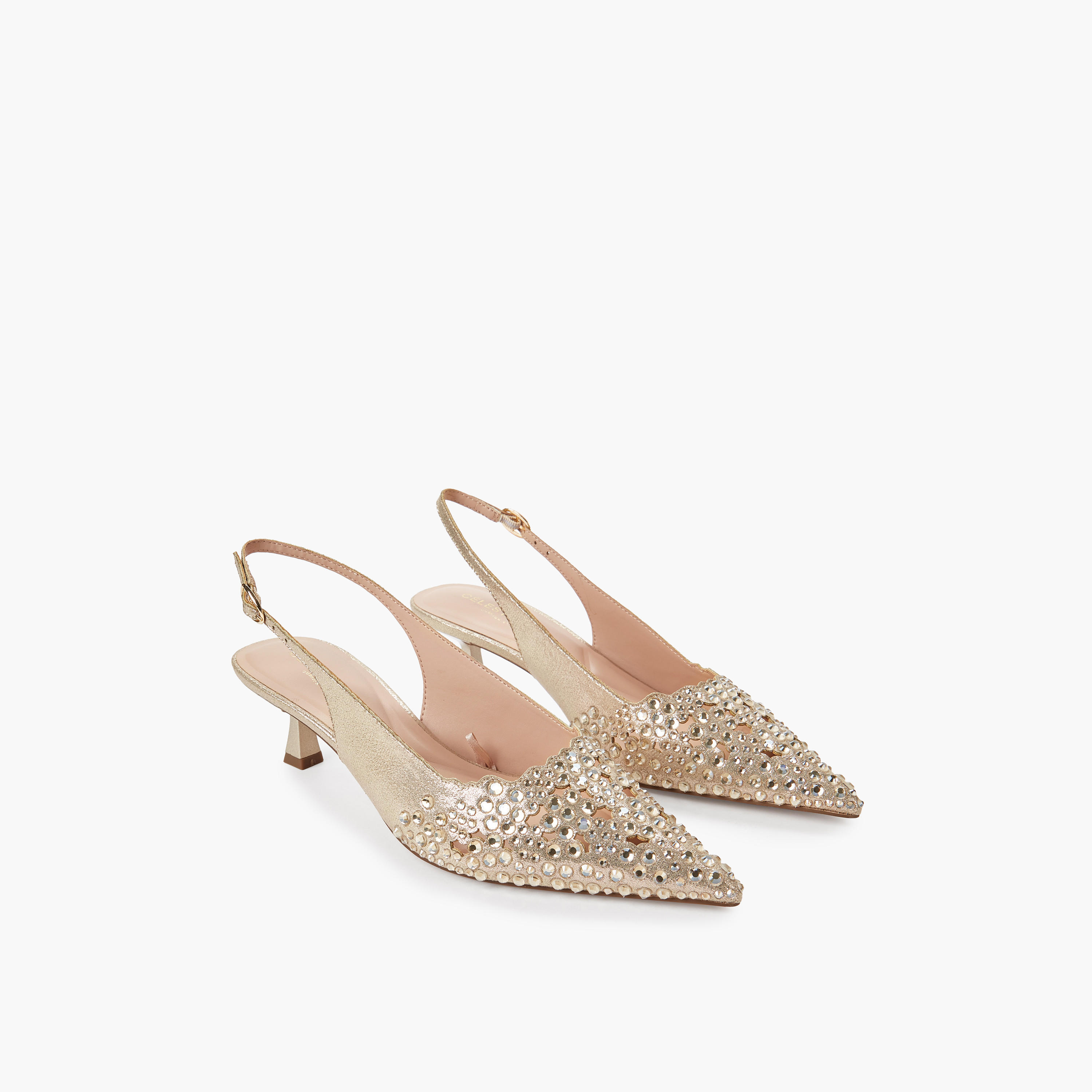 Celeste Women Kitten Heel Pointed Toe Shoes-women-shoes-heels-image-1