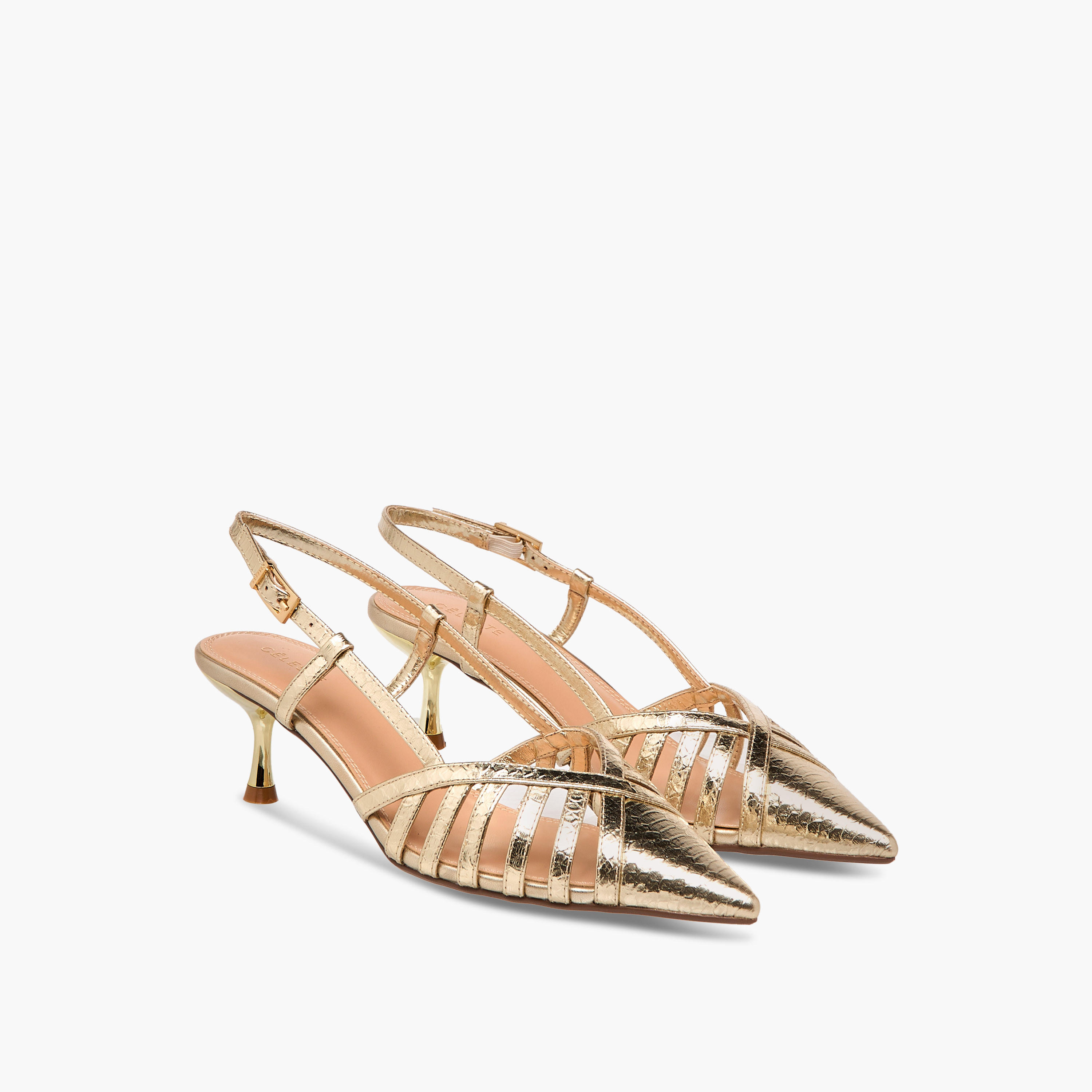 Celeste Women's Shoes with Buckle Closure and Kitten Heels-women-shoes-heels-image-1