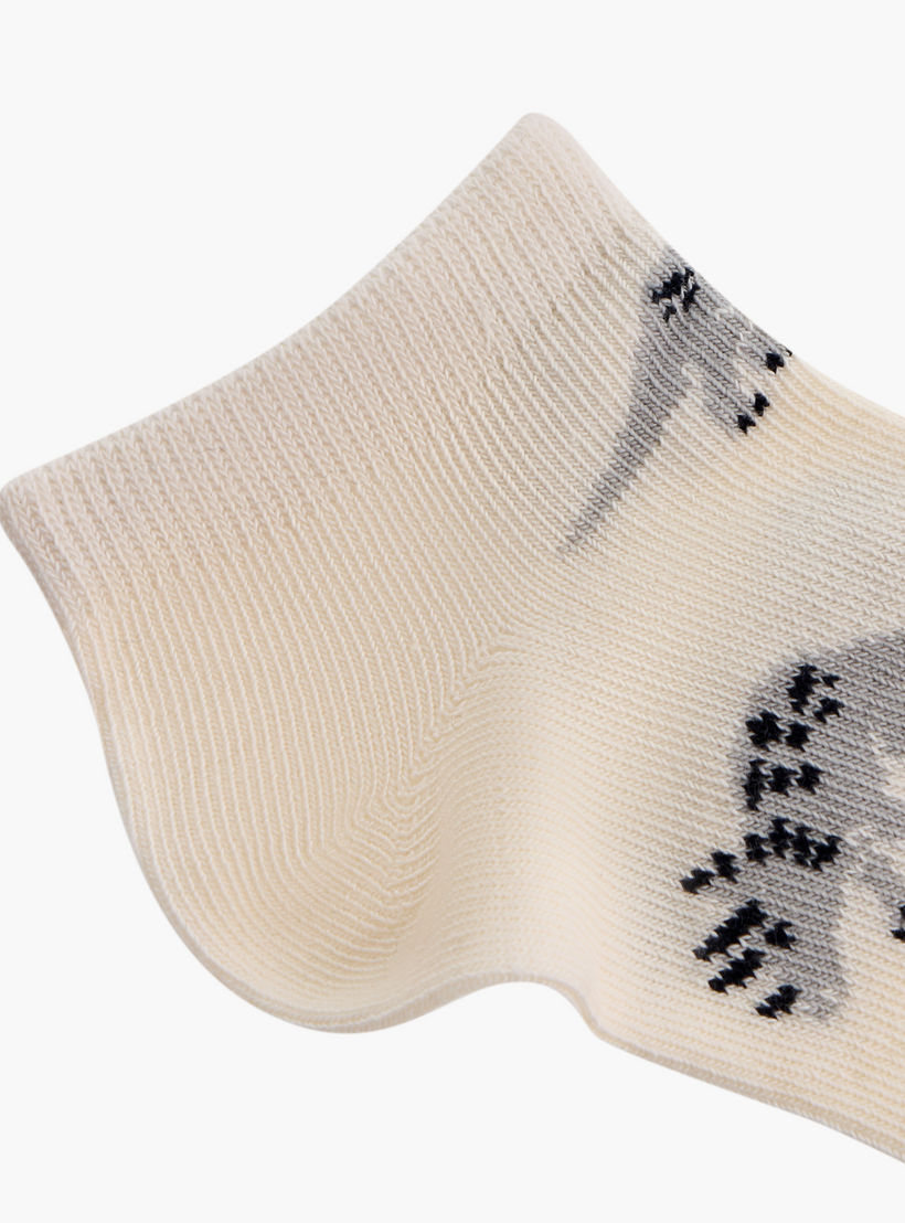 Juniors Assorted Ankle Length Socks - Set of 5-girls-accessories-socks-image-5