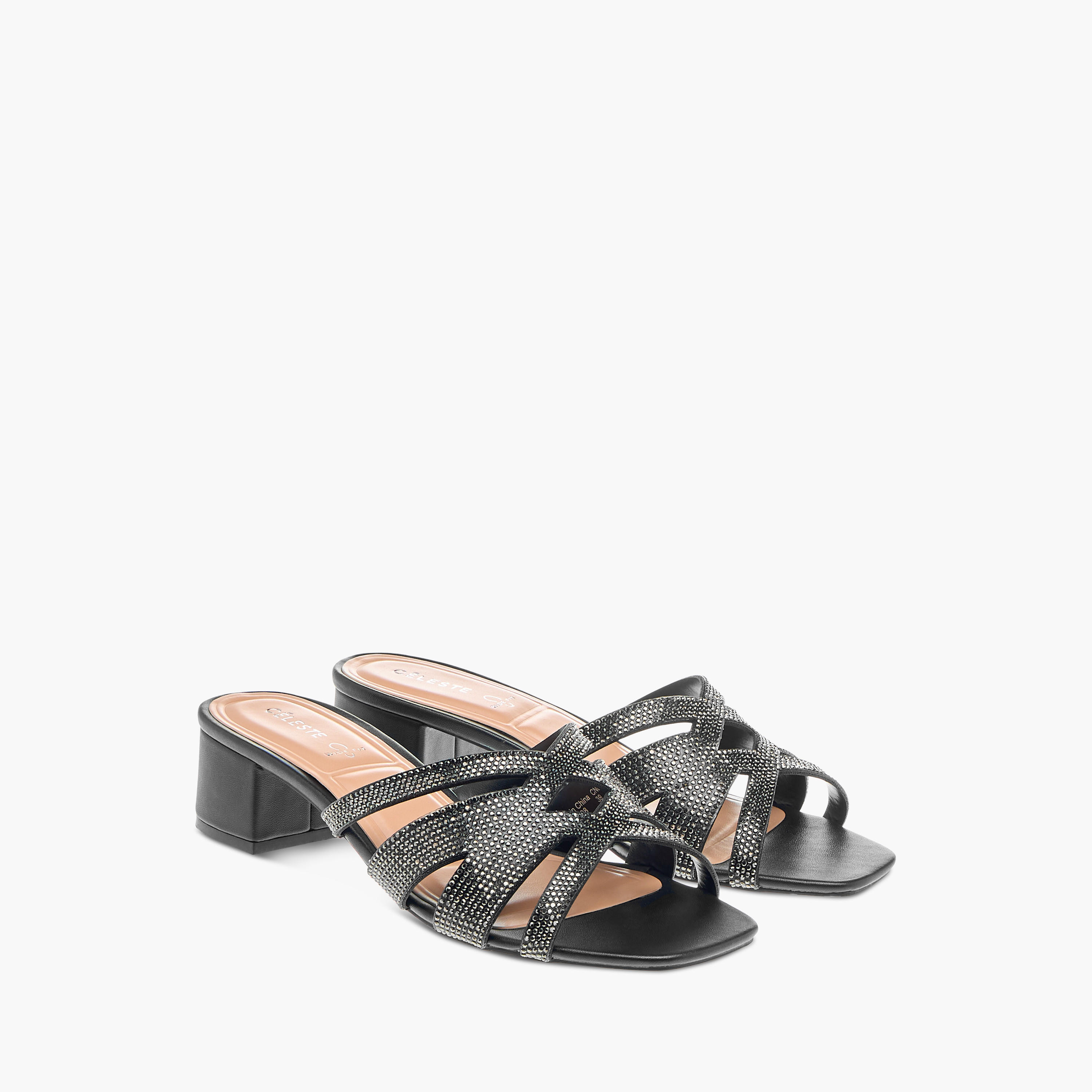 Celeste Women's Embellished Slip-On Sandals with Block Heels-women-shoes-sandals-heeled-image-1